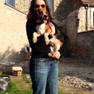 Des nouvelles d'Happy Beagle