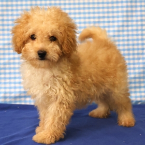 Offre Exceptionnelle