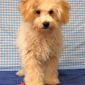 Offre Exceptionnelle